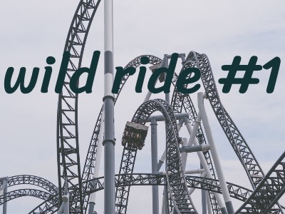 wild ride