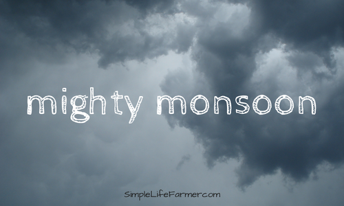 Mighty Monsoon