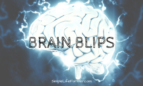 Brain Blips