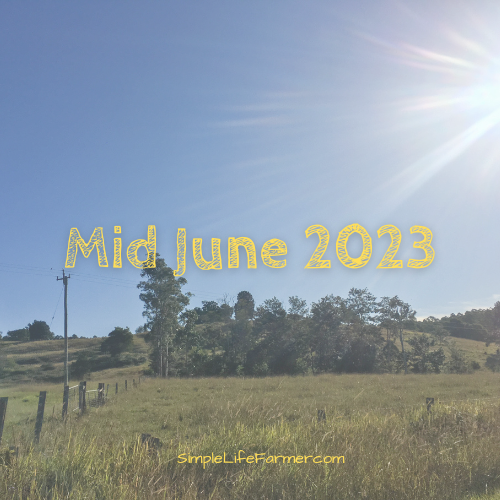 Mid June ’23