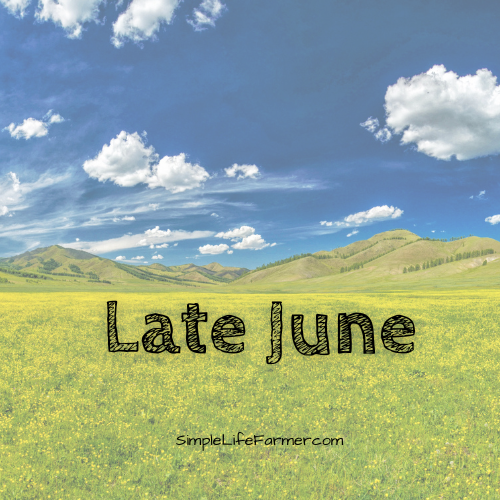 Late June