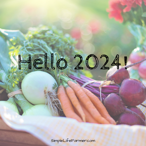 Hello 2024!